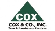 Cox & Company Tree Service