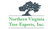 Northern Virginia Tree Experts