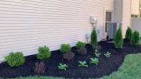 Planting Trees, Shrubs and Bushes