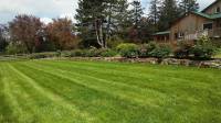 Organic Lawn Care In Oregon