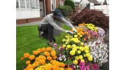 Commercial Landscape Maintenance