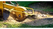 Stump Grinding