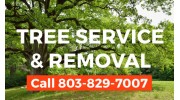 Tree Removal Service