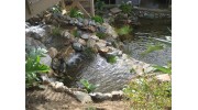 Water Features